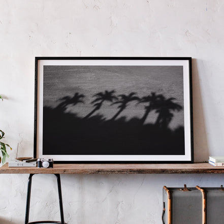Palm Shadows