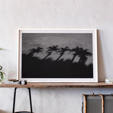 Palm Shadows